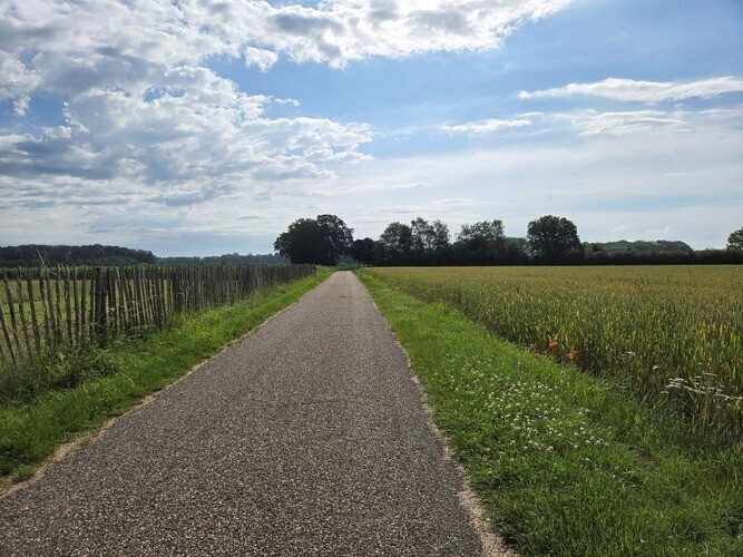 Wandelroute Olst-Wijhe